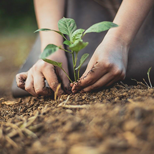Environment Education and Conservation